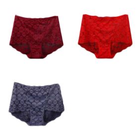3 Pcs Lace Sexy Bikini Panties Daisy Mesh Underwear Plus Size Boyshorts Panties for Women Pack,Red Purplish Grey Wine Red