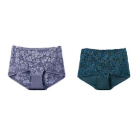 2 Pcs Women Lace Sexy Bikini Panties Pack Flower Mesh Underwear Plus Size Boyshorts Panties,Purple Green