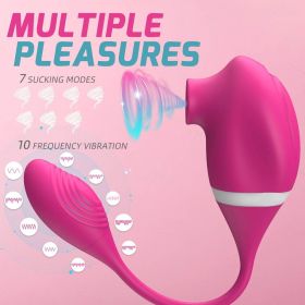 Female Masturbation Dildo Vibrator Clitoris Stimulus 13 Charging Line Fast Charging 102w Universal Roses for women Roses Anniversary birthday gifts fu (Color: Red)